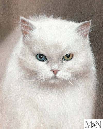 white cat portraits in oils on canvas