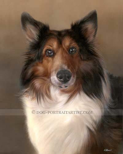 Dog Pet Portraits Gallery