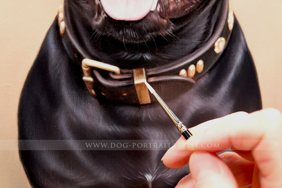 Poodle Dog Portrait
