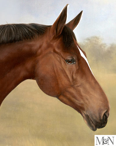 oil horse linen portraits