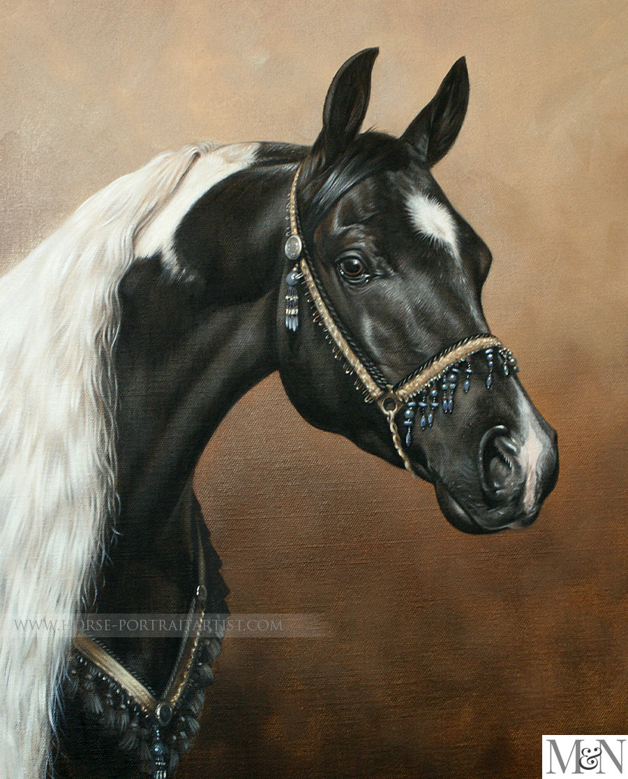 Equine Pet Portraits - Beau