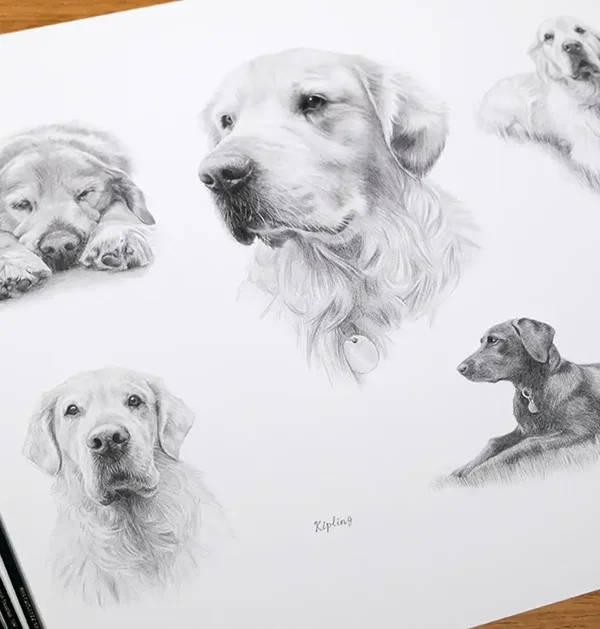 Life Story Pencil Portrait Gallery Life Story Pencil Portrait Gallery