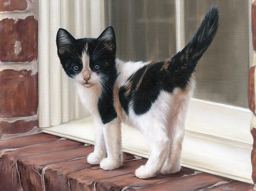 Kitten Oil Portrait of Sally by Nicholas Beall Completed oil portrait of Sally, a kitten, perched by a window.