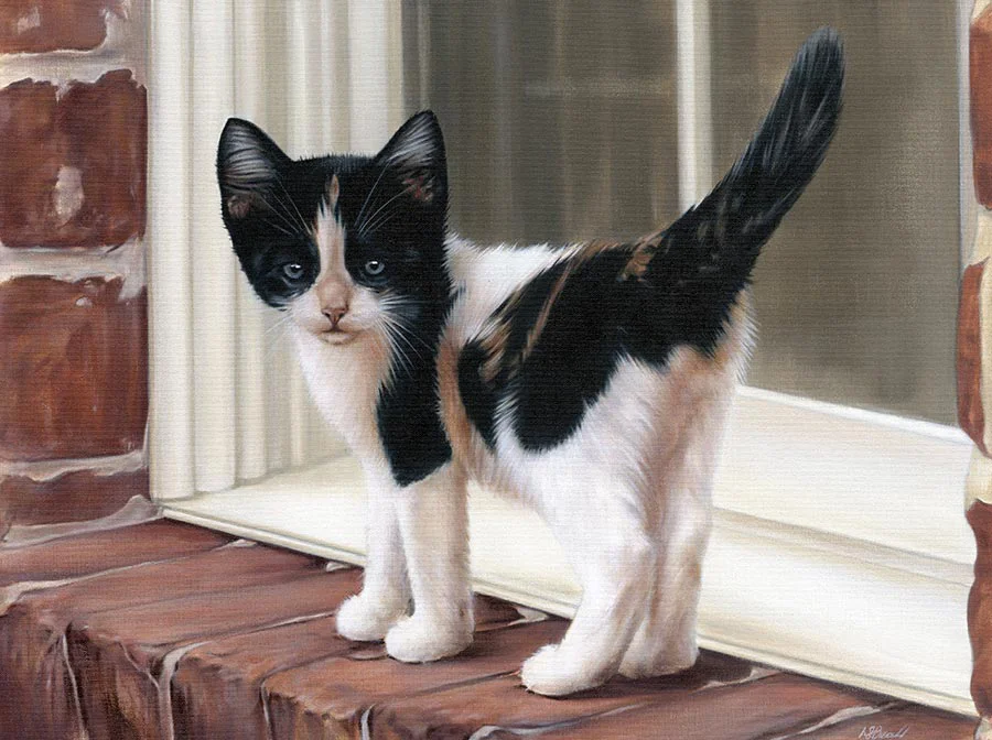 Kitten Portrait in Progress - Stage Two Kitten portrait of Sally in progress, showing the second painting stage.