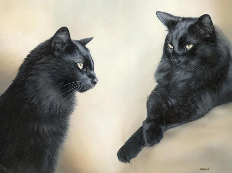 Two Cat Portrait of Sammy by Nicholas Beall Oil painting depicting two poses of Sammy, the black cat, in a single portrait