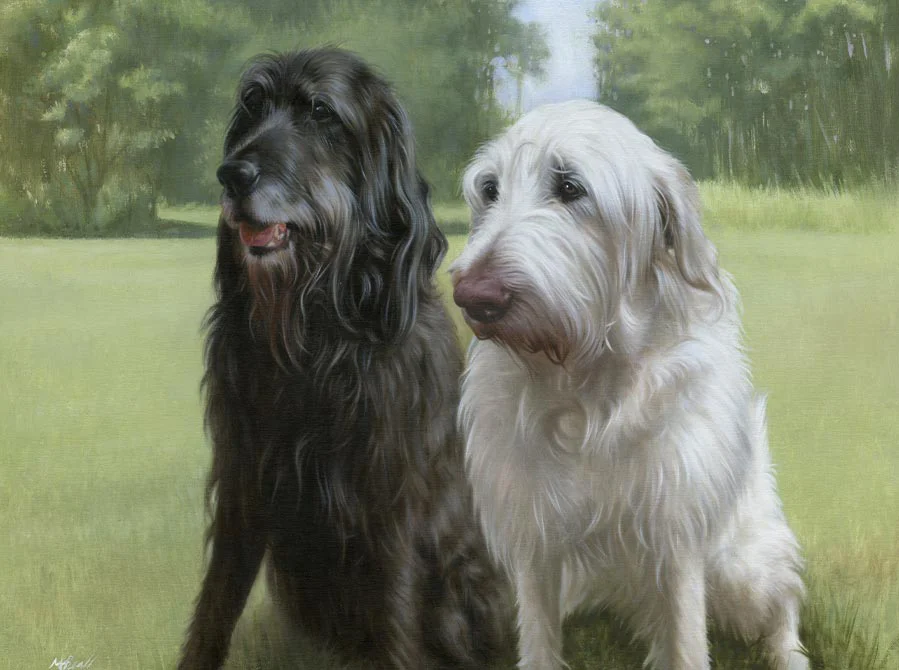 Finished oil portrait of Harry and Oscar by Nicholas Beall Completed oil painting of two dogs, Harry and Oscar, sitting naturally in their garden.