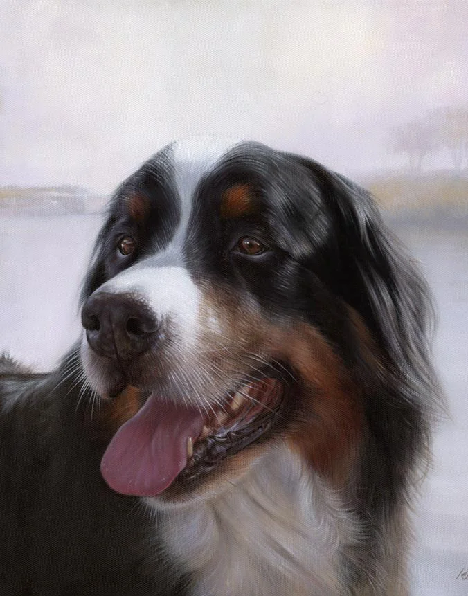 Finished oil portrait of Yogi the Bernese Mountain Dog by Nicholas Beall Completed oil portrait of Yogi, a Bernese Mountain Dog, looking serene outdoors.