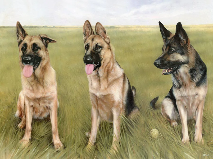 German Shepherd Portraits by Nicholas Beall Completed oil portrait of three German Shepherds: Kali, Grace, and Zarah, in a harmonious composition.