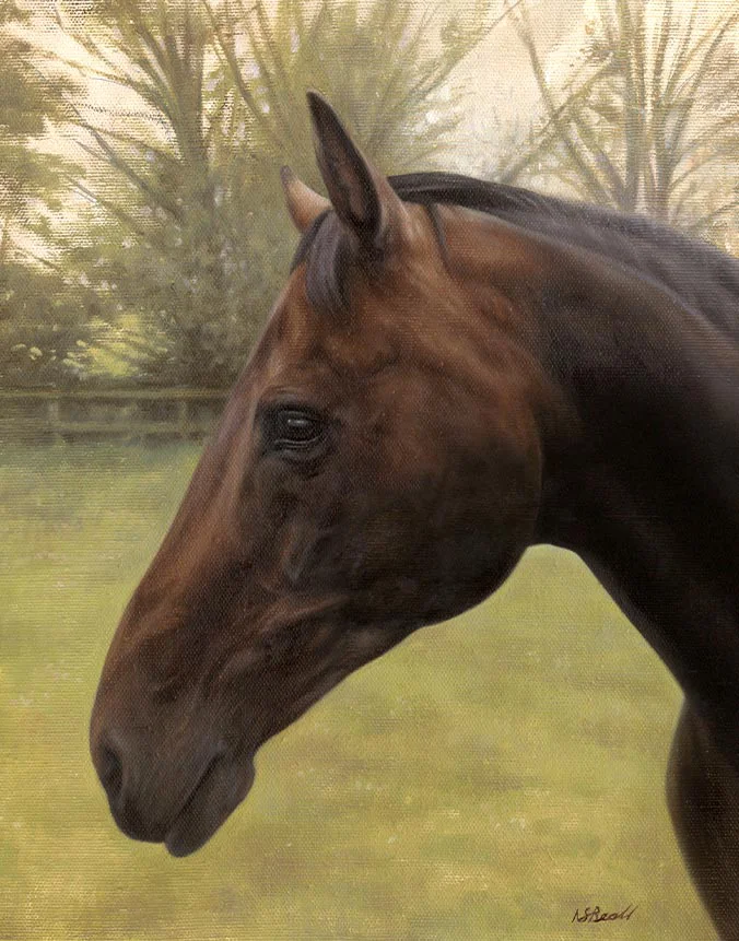 Horse Pet Painting of Kewlia Horse Pet Painting of Kewlia in Early Morning Light
