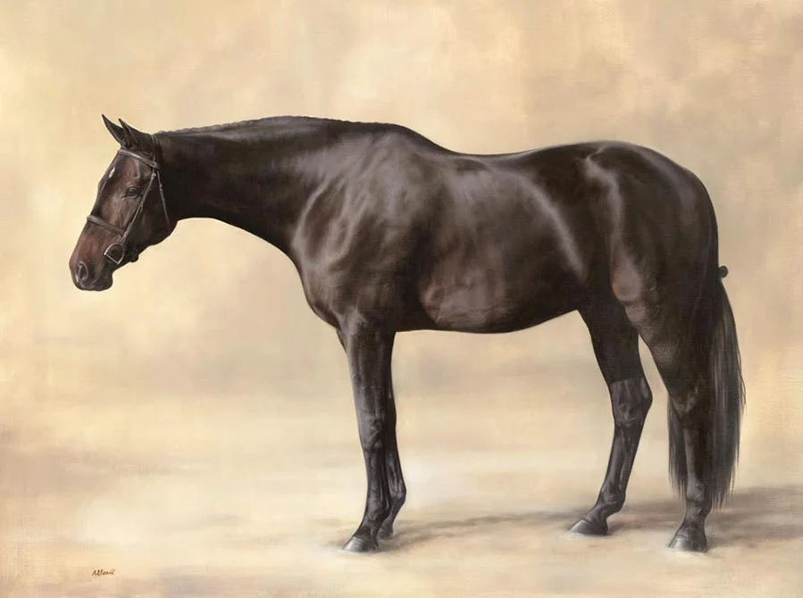 Full Body Oil Painting of Lockhart Completed full body oil painting of Lockhart, a horse, with a studio-style background.