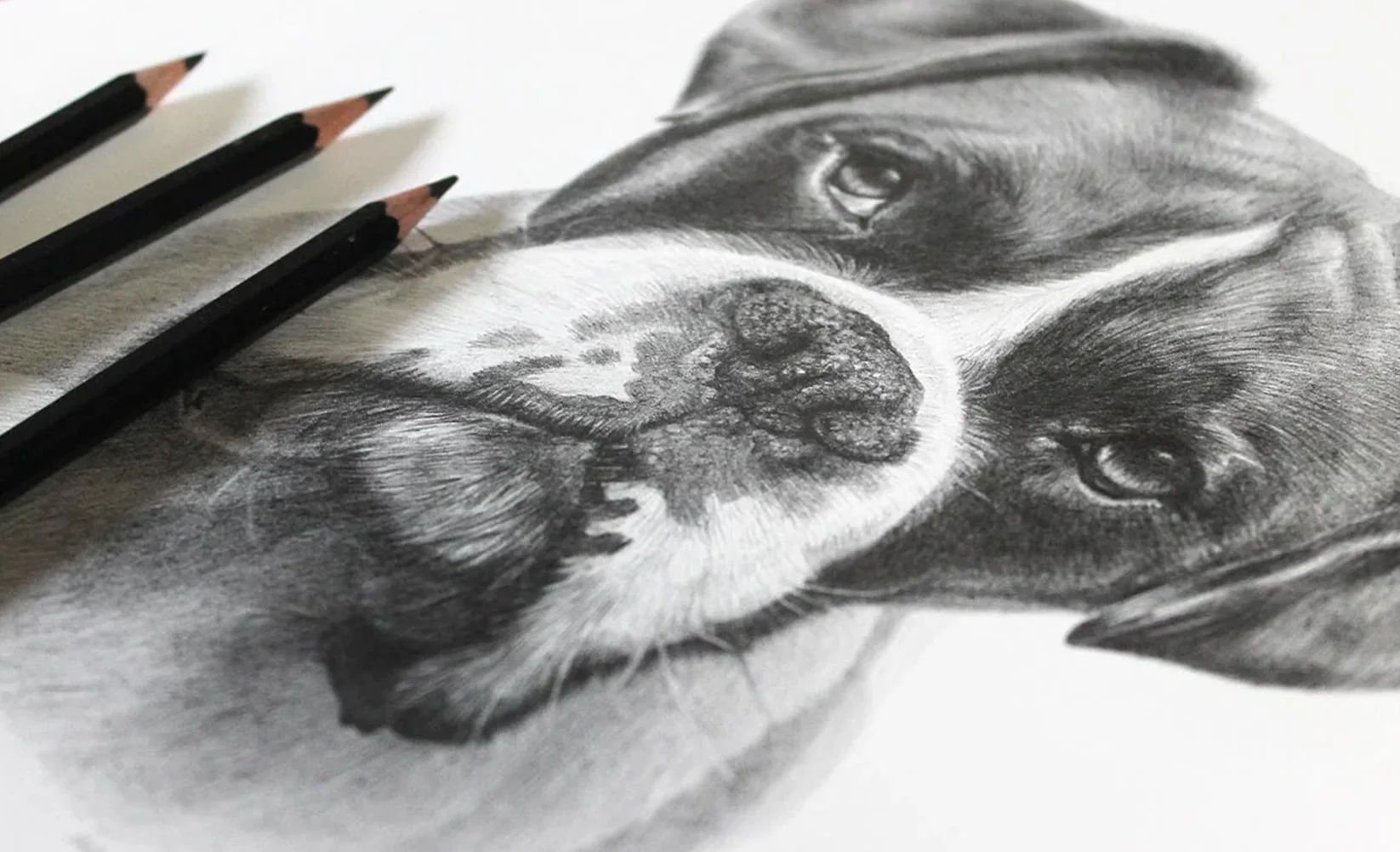 Classic Pencil Drawing by Melanie Phillips Classic Pencil Drawing by Melanie Phillips