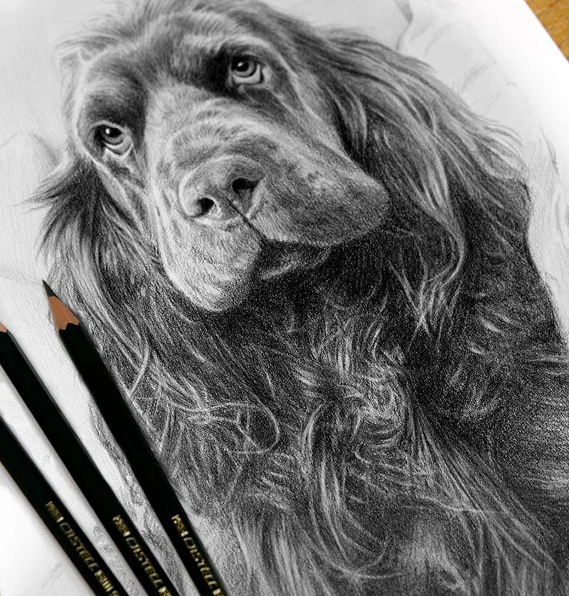 Classic Pencil Portrait Gallery Classic Pencil Portrait Gallery