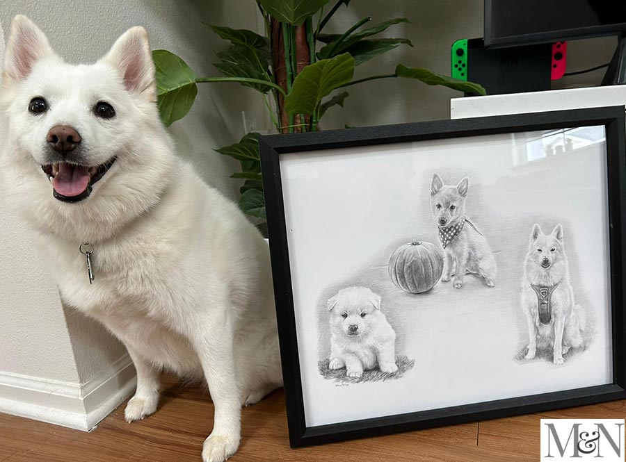 Pencil Pet Portrait Montage with Kohna the dog