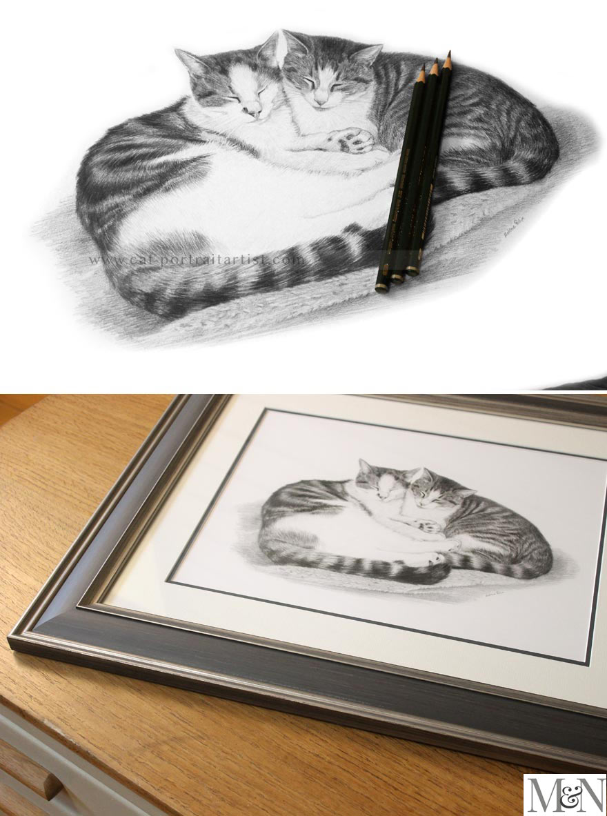 Pencil Illustration Cat Stock Illustrations – 9,665 Pencil Illustration Cat  Stock Illustrations, Vectors & Clipart - Dreamstime
