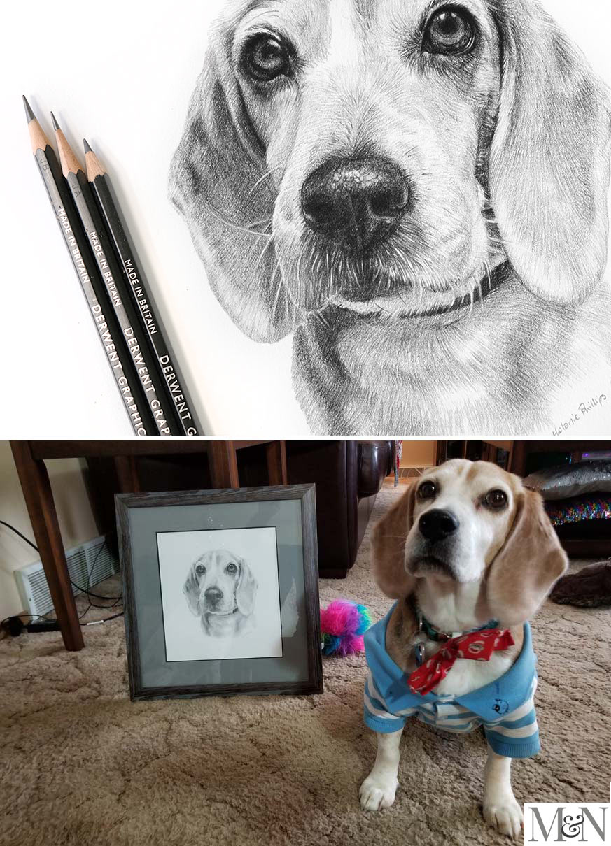 Boxer dog pencil drawing - Martha - Garry's Pencil Drawings