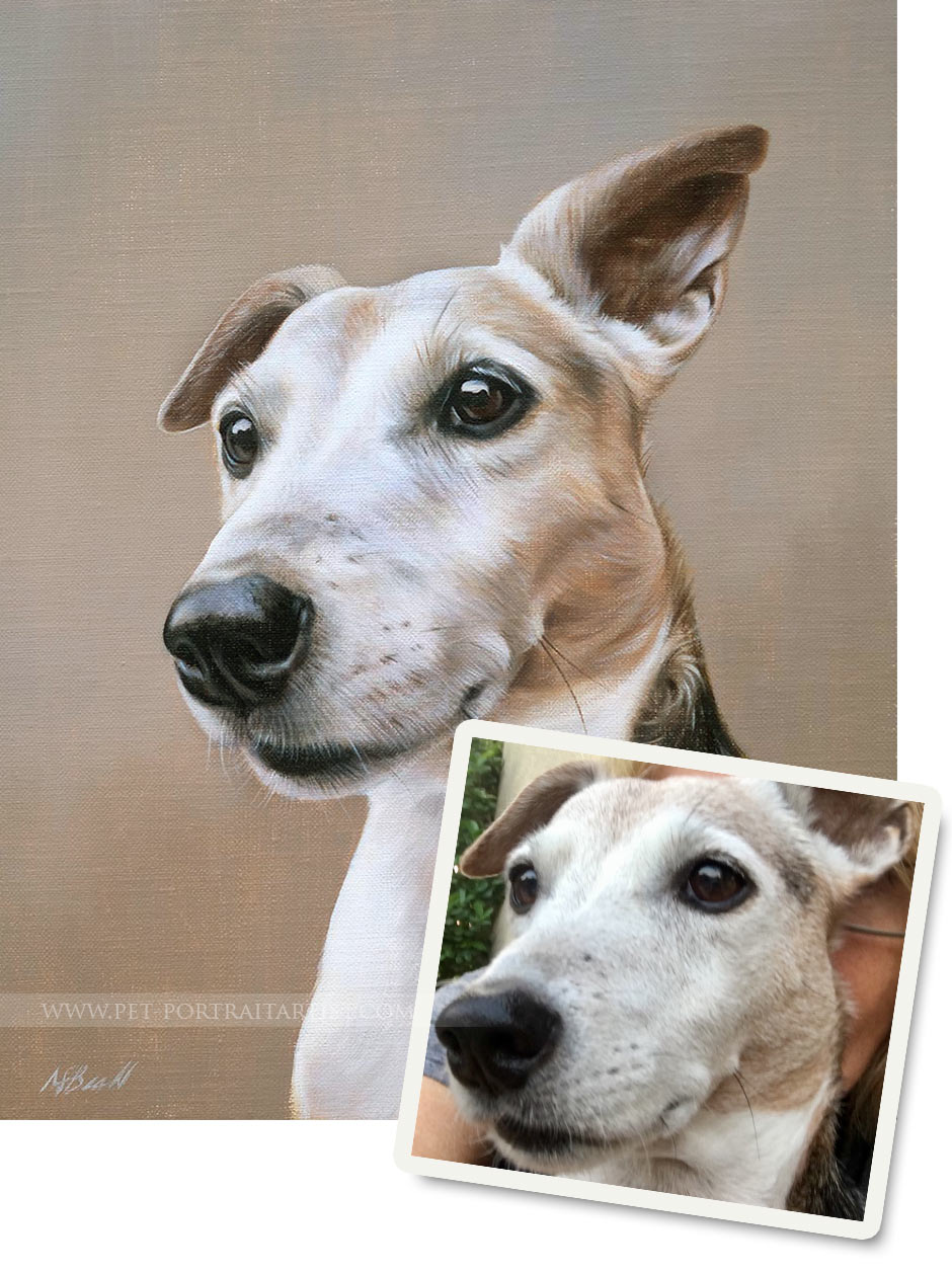 Pet Portraits Artwork Photo Comparison